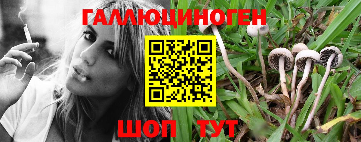 Галлюциногенные грибы Psilocybe Рассказово