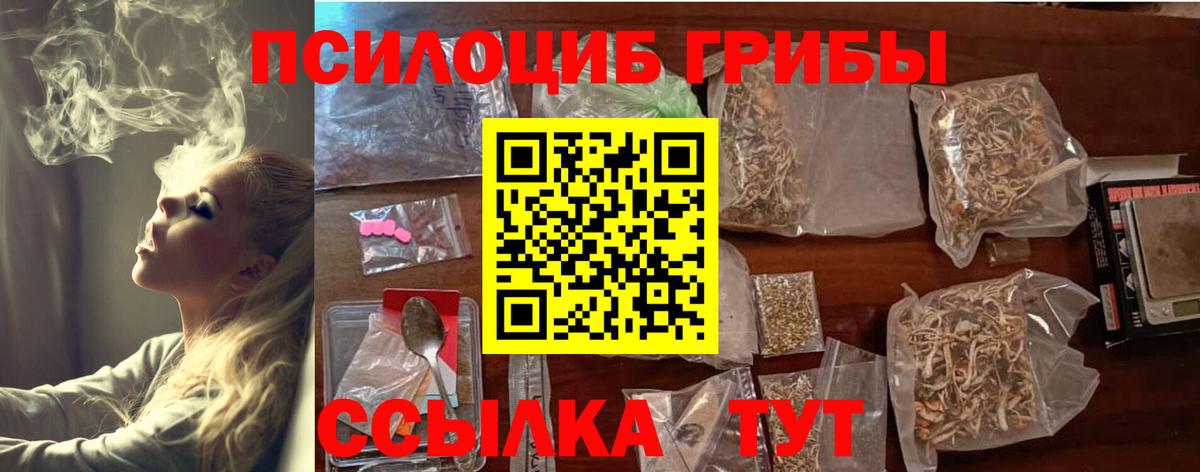 Рассказово  Галлюциногенные грибы Psilocybine cubensis  Вход с VPN 